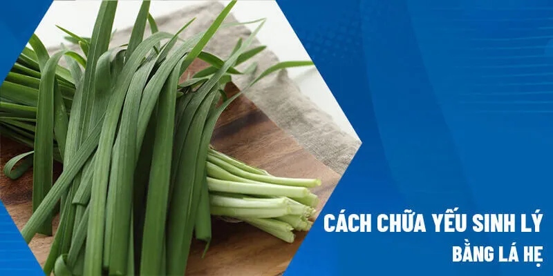 Chữa Bệnh Yếu Sinh Lý Tại Nhà Bằng Lá Hẹ