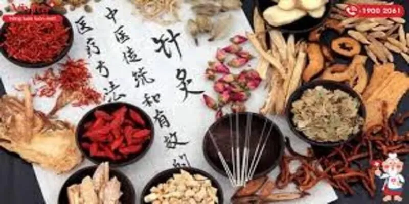 Chữa Yếu Sinh Lý Ở Nam Giới Bằng Đông Y Cực Kỳ Hiệu Quả