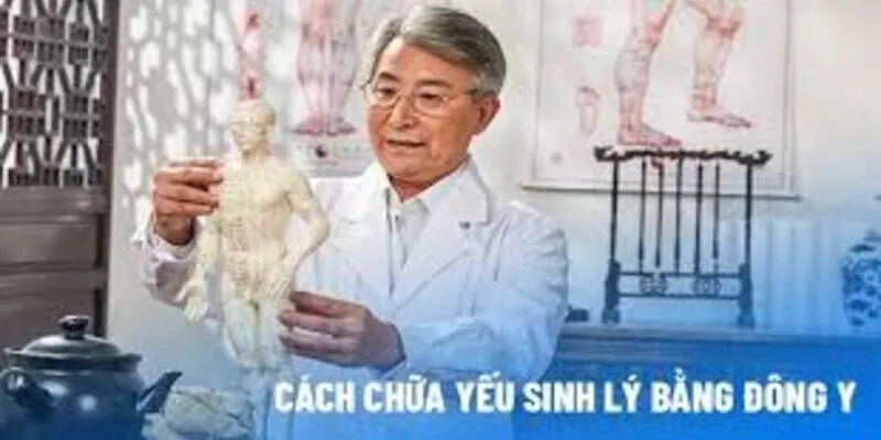 Chữa Yếu Sinh Lý Ở Nam Giới Bằng Đông Y Cực Kỳ Hiệu Quả