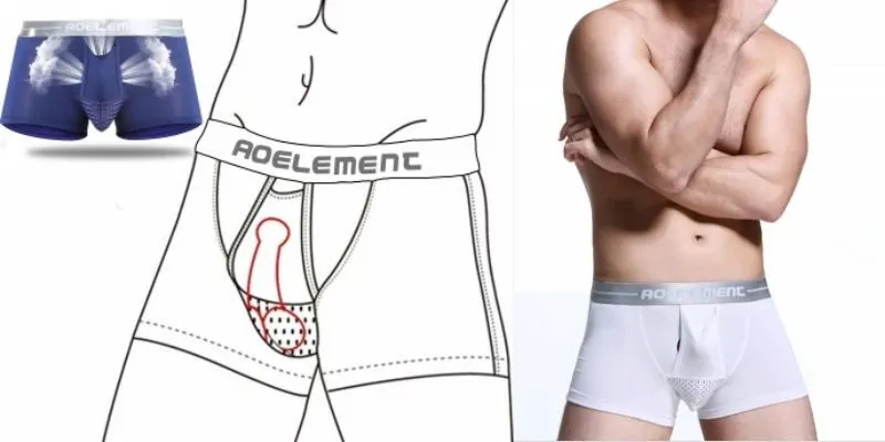 Dương vật hướng lên hay hướng xuống khi mặc quần lót?