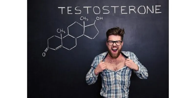 Nội tiết tố nam là gì?