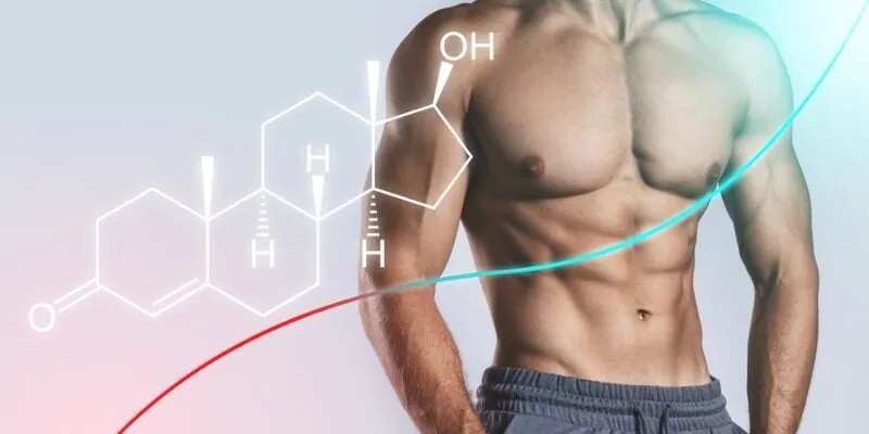 Nội tiết tố nam ảnh hưởng đến toàn bộ cơ thể