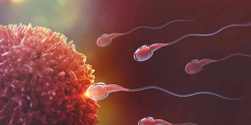 Tăng chất lượng tinh trùng