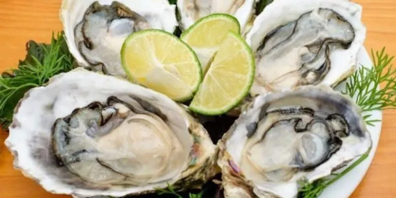 Tinh Chất Hàu Biển Là Gì?