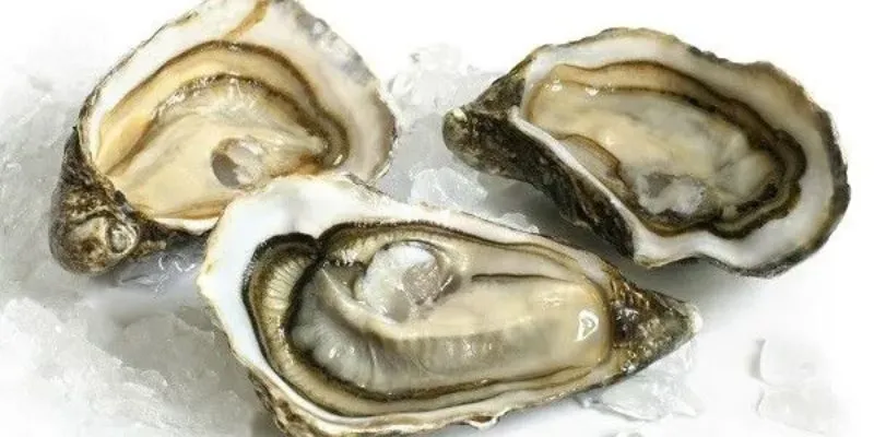 Tinh chất hàu là gì?