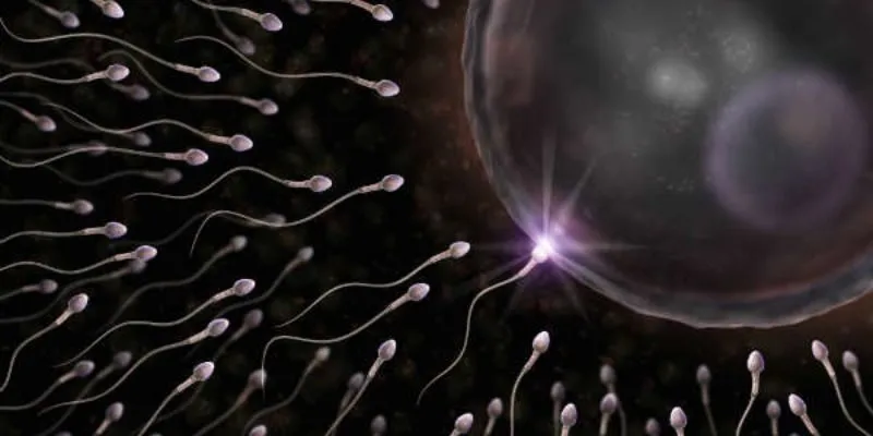 Làm gì để có tinh trùng khỏe mạnh?