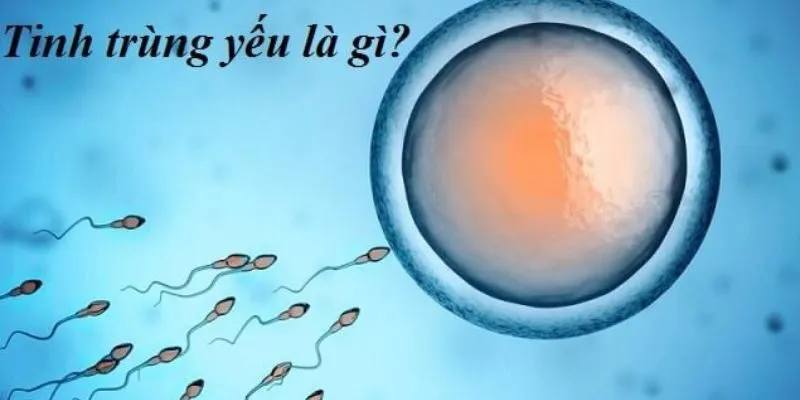 4 Thói quen khiến tinh trùng yếu dần ở nam giới