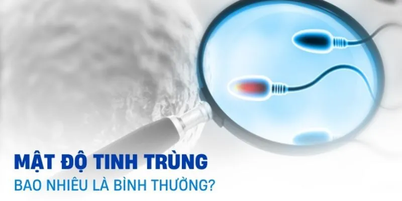 nước quá nóng vì sẽ ảnh hưởng đến chức năng sinh sản của nam giới