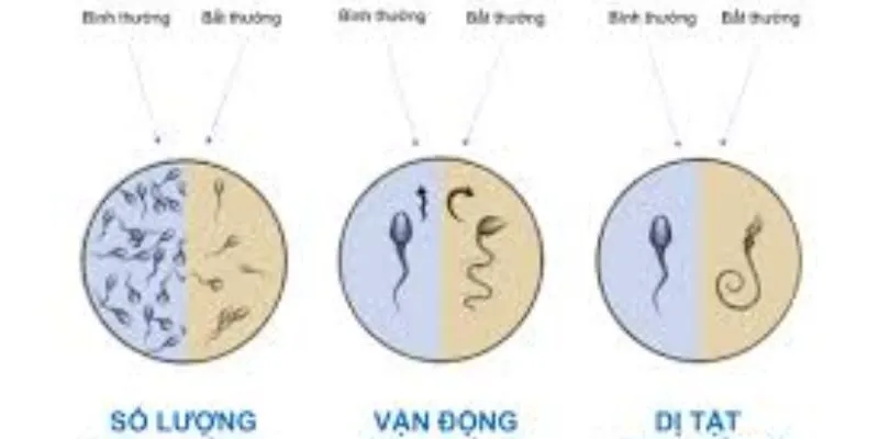 Những thói quen khiến tinh trùng yếu