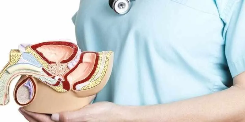 Ung thư tiền liệt tuyến và mối liên hệ với nội tiết tố nam