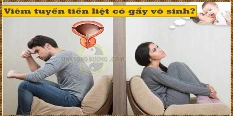 Viêm tuyến tiền liệt là gì? Có gây vô sinh nam giới không?