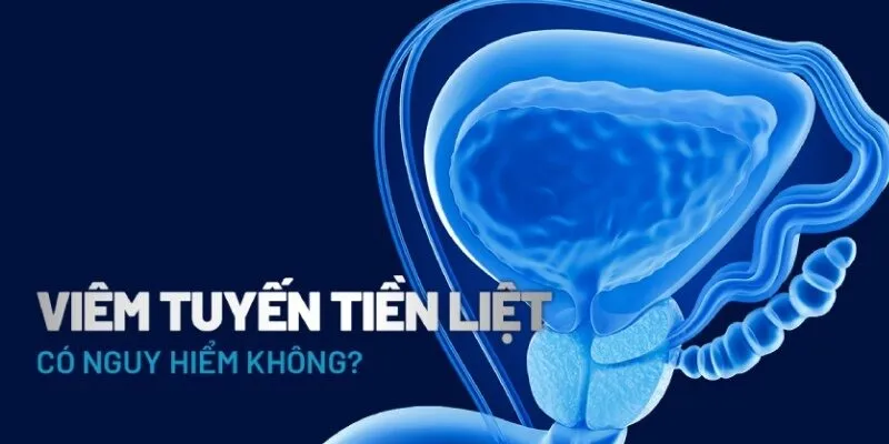 Viêm tuyến tiền liệt có nguy hiểm không?
