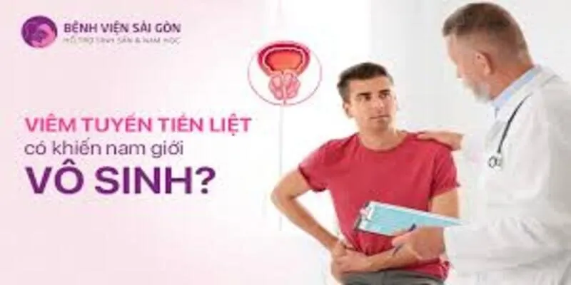 Viêm tuyến tiền liệt mãn tính có thể dẫn đến vô sinh