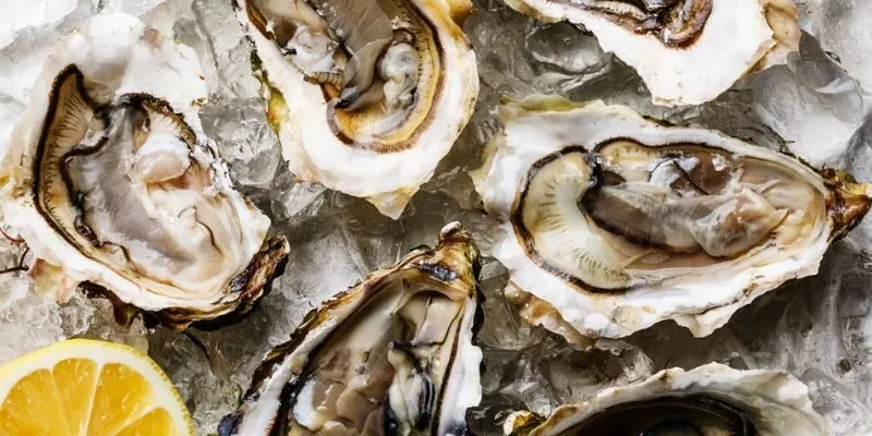 Yếu sinh lý nên ăn gì - Hàu biển