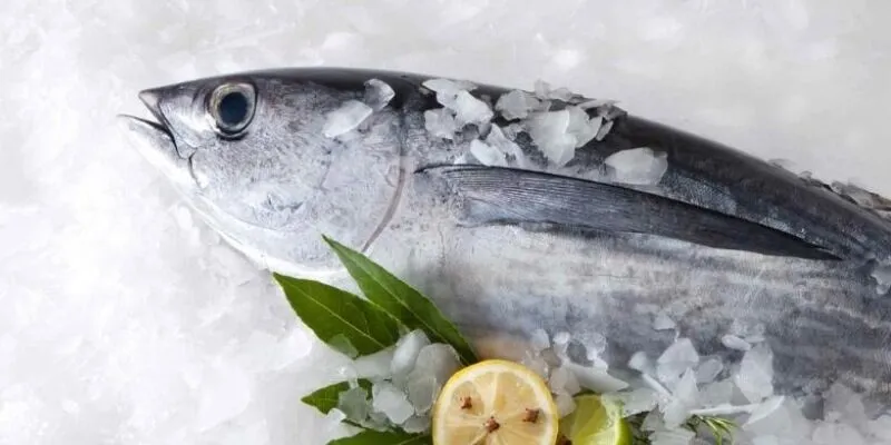 Nam giới yếu sinh lý nên ăn gì và không nên ăn gì?